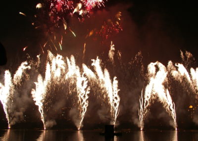 Firework shows New Zealand wide and overseas