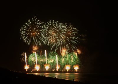Treetech Fireworks at the New Brighton pier
