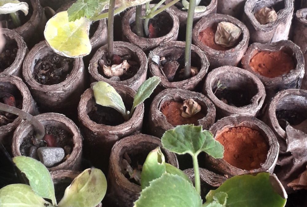 Waste reduction and recycling